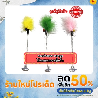 ขนนกสปริง ขนนกติดกระจก ของเล่นแมว (คละสี)