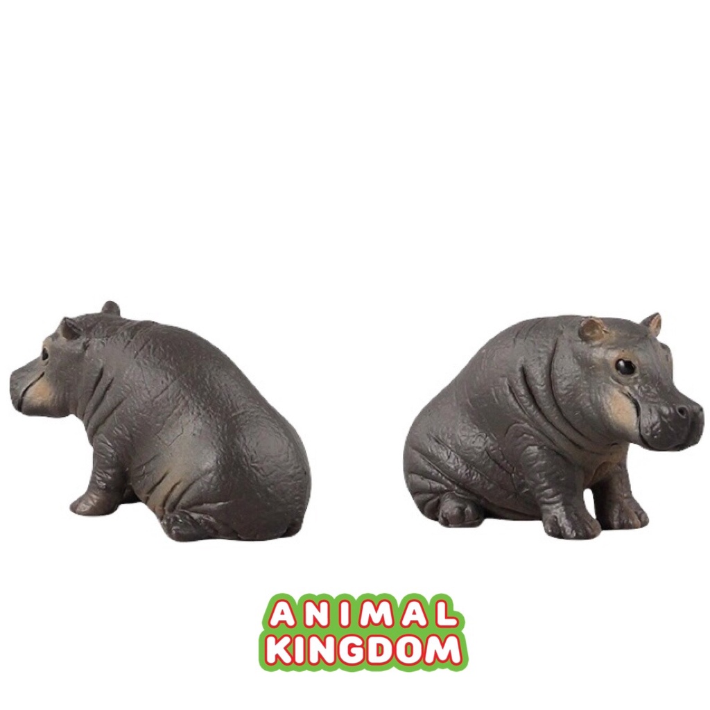 animal-kingdom-โมเดลสัตว์-ฮิปโปโปเตมัส-พ่อแม่ลูก-ชุด-3-ตัว-จากหาดใหญ่