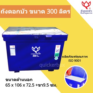 ถังน้ำแข็ง ขนาด 300 ลิตร Icebox สินค้าคุณภาพ