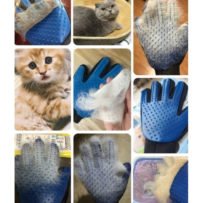 ภาพหน้าปกสินค้า️ถุงมือแปรงขน ถุงมือทำความสะอาดขนสัตว์เลี้ยง ️ จากร้าน ratimapeem บน Shopee