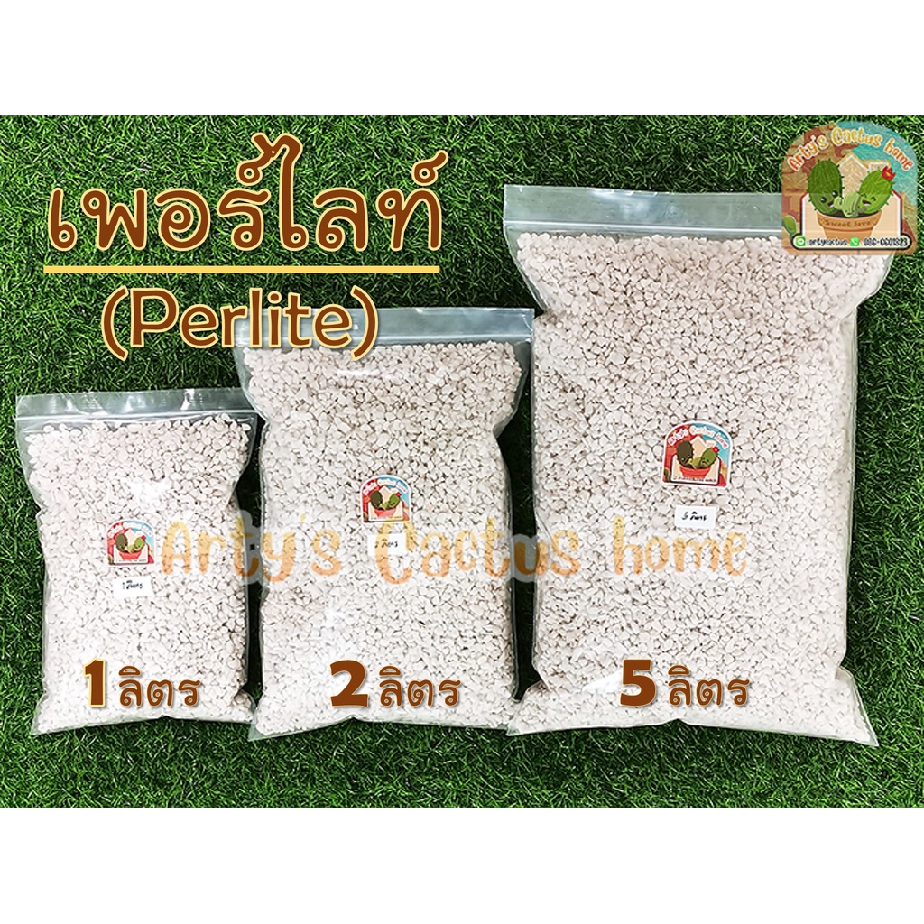 เพอร์ไลท์-perlite-สำหรับปลูกแคคตัส-amp-ไม้อวบน้ำ-และปลูกผักไฮรโดรโปนิกส์ได้