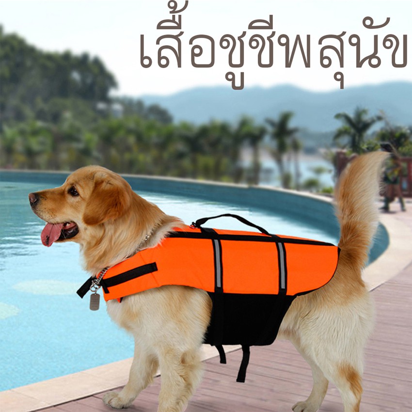 เสื้อชูชีพสุนัข-size-xl-ส่ง-เร็ว-ส่งจากไทย