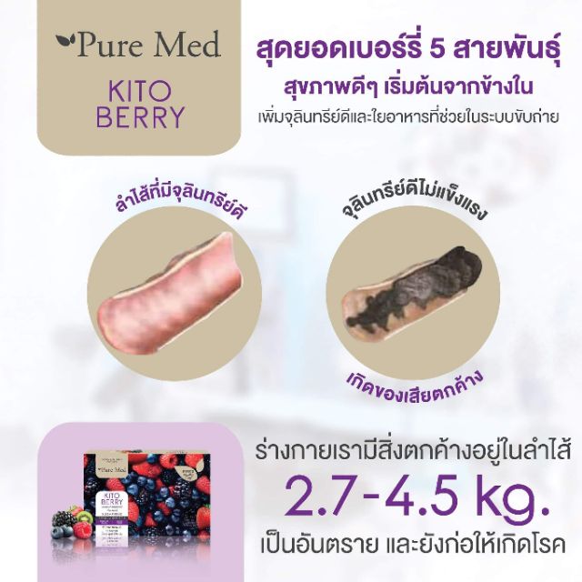 ไคโต้เบอร์รี่-kitoberry