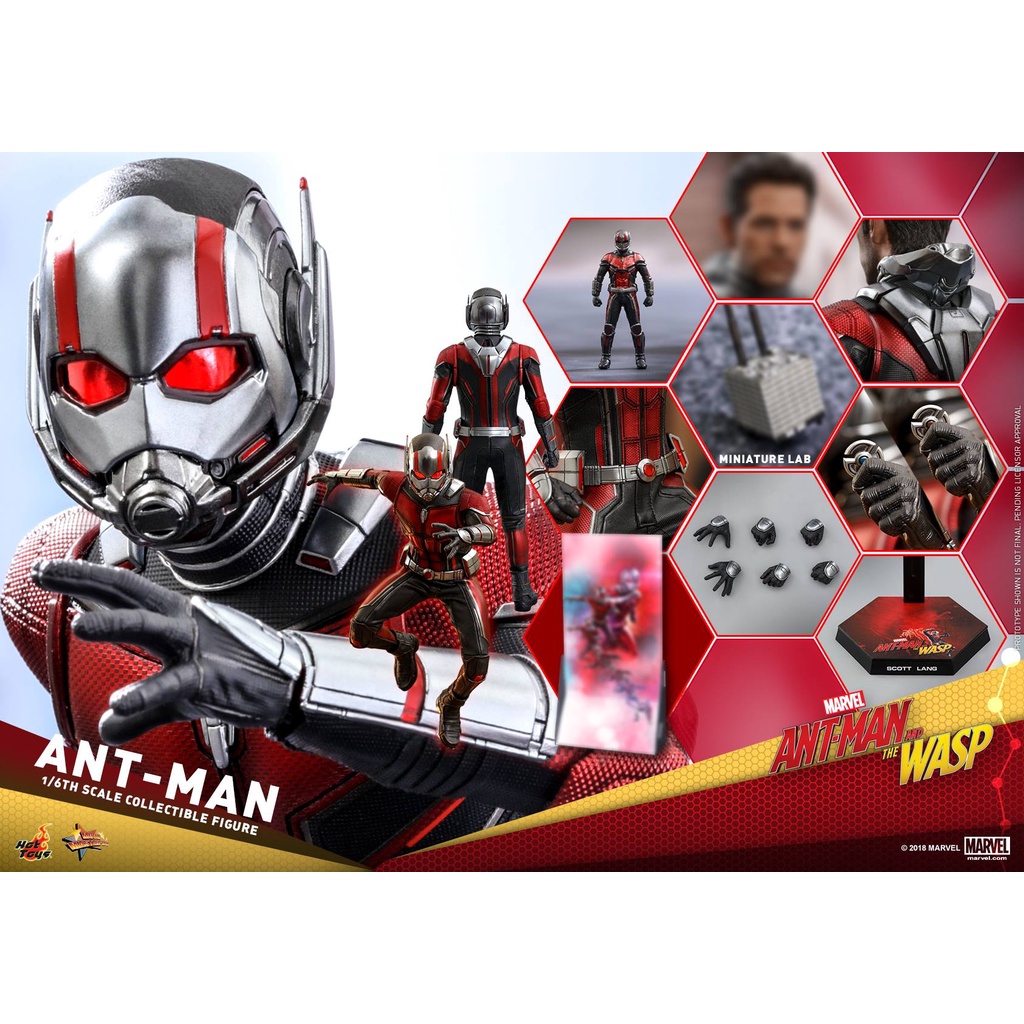 สินค้าพร้อมส่ง-ฟิกเกอร์-โมเดล-ของ-สะสม-hot-toys-mms497-ant-man-and-the-wasp-ant-man