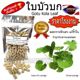 ภาพขนาดย่อของภาพหน้าปกสินค้าใบบัวบก แคปซูล บรรจุ 100 แคบซูล บด100% บรรจุแคบซูลขนาด 250 มก จากร้าน panothaishop บน Shopee