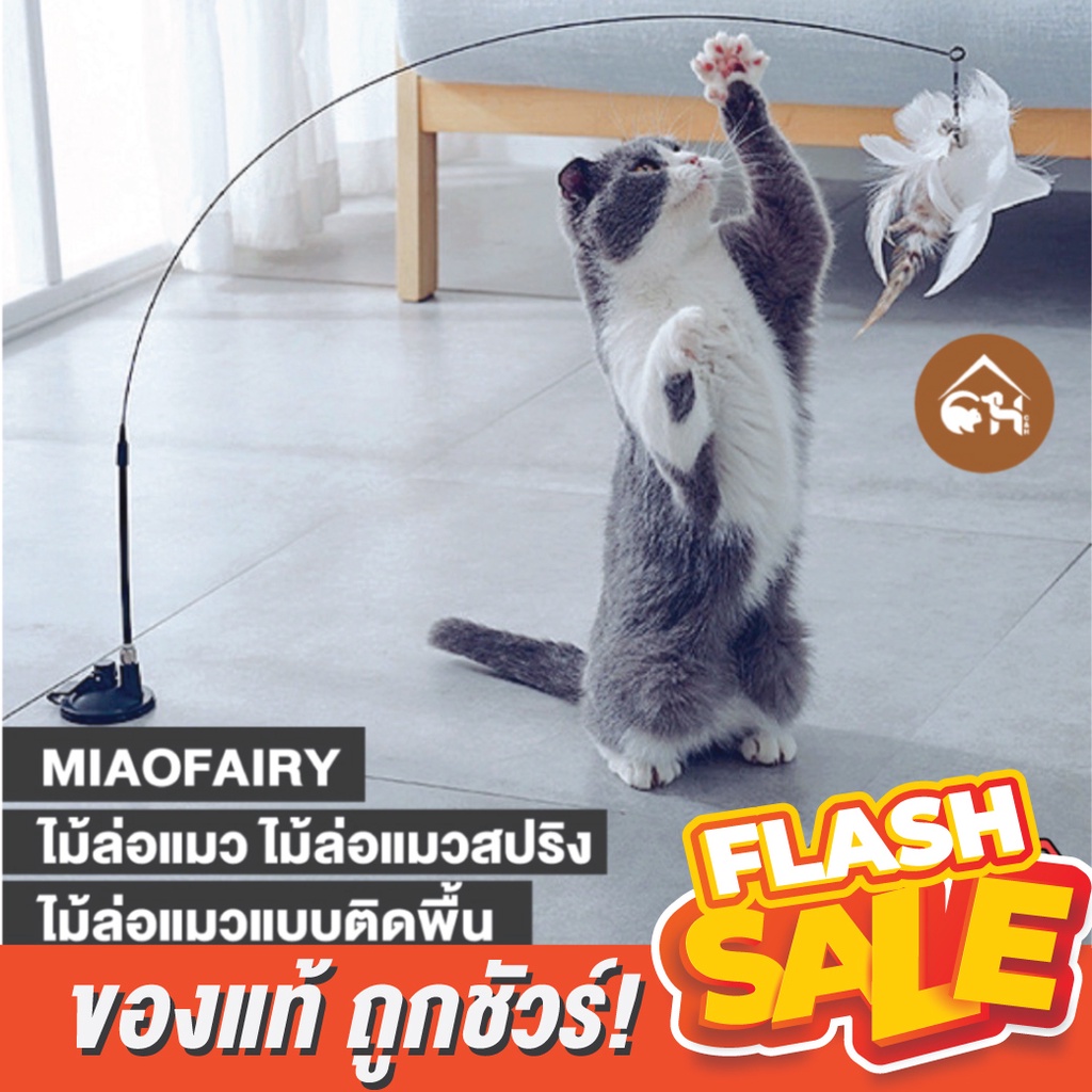 ของแท้-ถูกสุด-พร้อมส่ง-miaofairy-ไม้ล่อแมว-ไม้ล่อแมวสปริง-ไม้ล่อแมวแบบติดพื้น