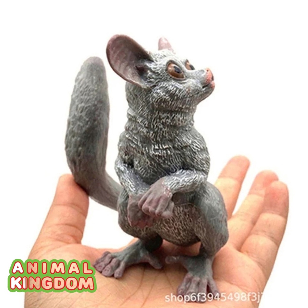 animal-kingdom-โมเดลสัตว์-บ่าง-กระลอกบิน-ขนาด-10-00-cm-จากหาดใหญ่