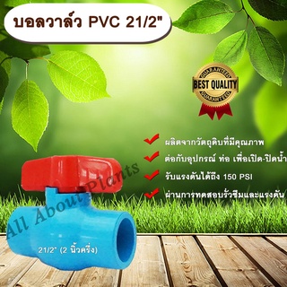 บอลวาล์ว PVC 21/2” (2นิ้วครึ่ง) ประตูเปิดปิดน้ำ บอลวาล์วพีวีซี แบบสวม allaboutplants