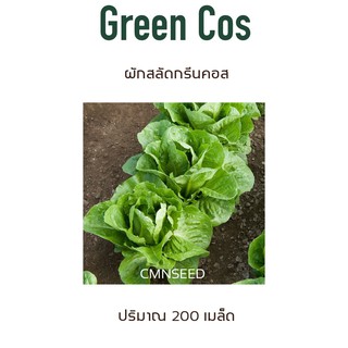 เมล็ดพันธุ์ กรีนคอส 200 เมล็ด