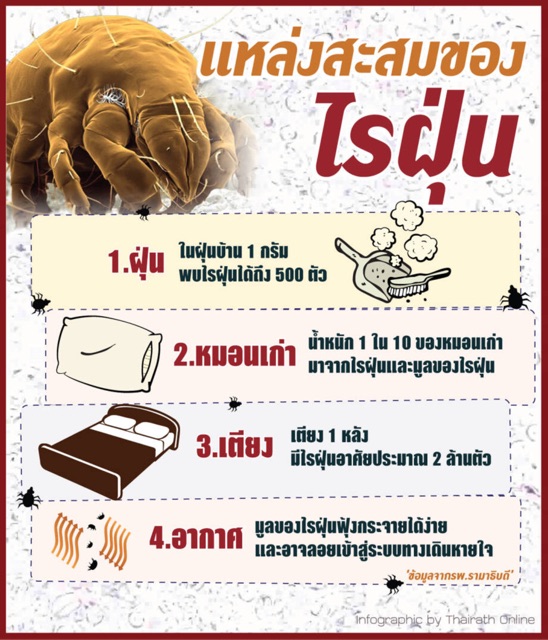 ปลอกคลุมหมอนข้างกันน้ำ-ปลอกหมอนข้างกันไรฝุ่น-ปลอกหมอนกันคราบ