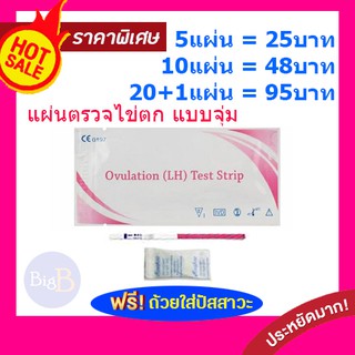 5X แผ่นทดสอบไข่ตก LH Ovulation test strip  แผ่นตรวจไข่ตก ชุดทดสอบไข่ตก ตรวจไข่ตก แบบจุ่ม เห็นชัด ดูง่าย ราคาพิเศษ