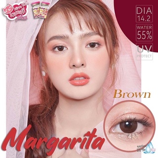 Margarita Brown (1)(2) ตาโต สีน้ำตาล ช็อคโก้ Choco สีน้ำตาลเข้ม Kitty Kawaii Contact Lens Bigeyes คอนแทคเลนส์ บิ๊กอาย