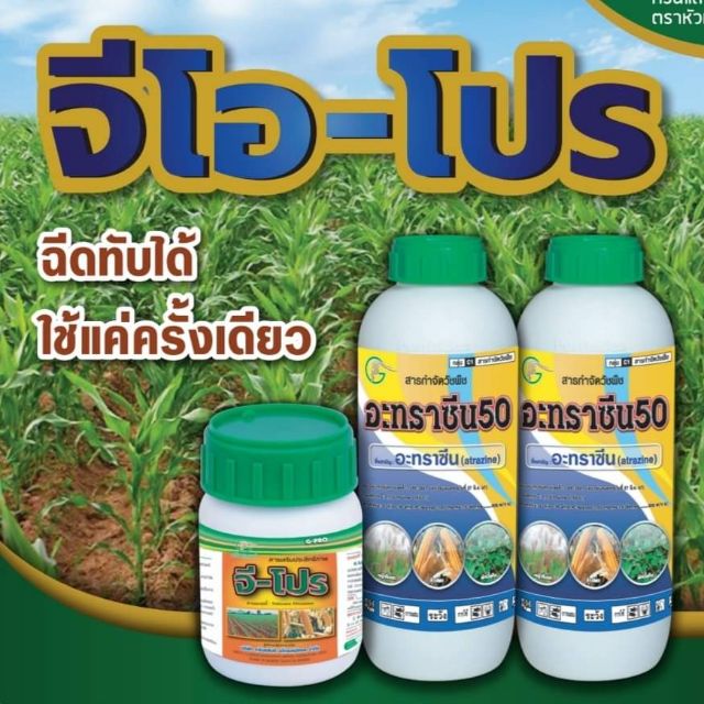 จี-โปร-คุมฆ่าหญ้าในไร่ข้าวโพด