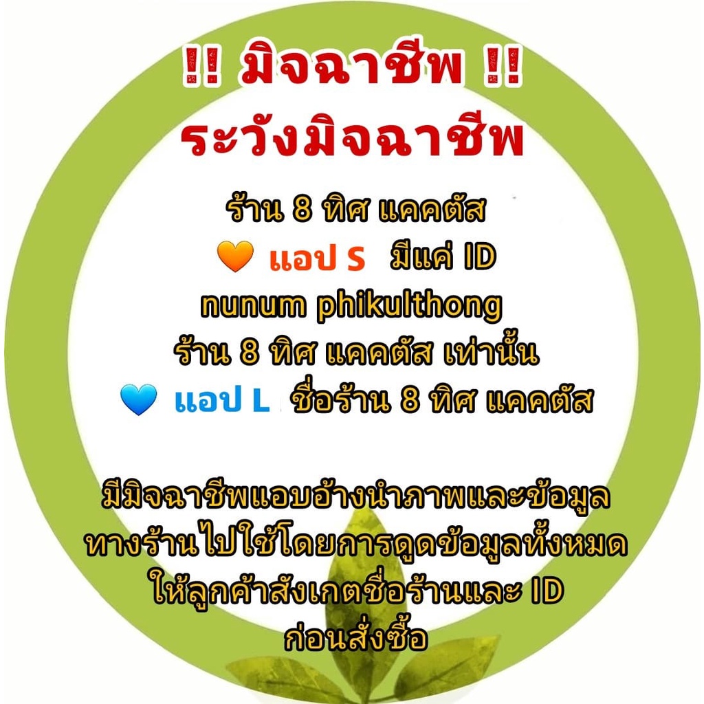 ภาพหน้าปกสินค้ากระถาง ปากแตร ก.กลม 3 นิ้ว // กด 12 ใบ 80 บาท -- กระถางแคคตัส กระบองเพชร กระถางพลาสติก จากร้าน nunum_phikulthong บน Shopee