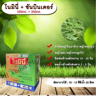 โนมินี่ + ซันบินเดอร์ 250ml. + 250ml. บิสไพริแบกโซเดียม สารกำจัดวัชพืช กำจัดหญ้า ในนาข้าว กำจัดหญ้าแดง หญ้ากระดูกไก่