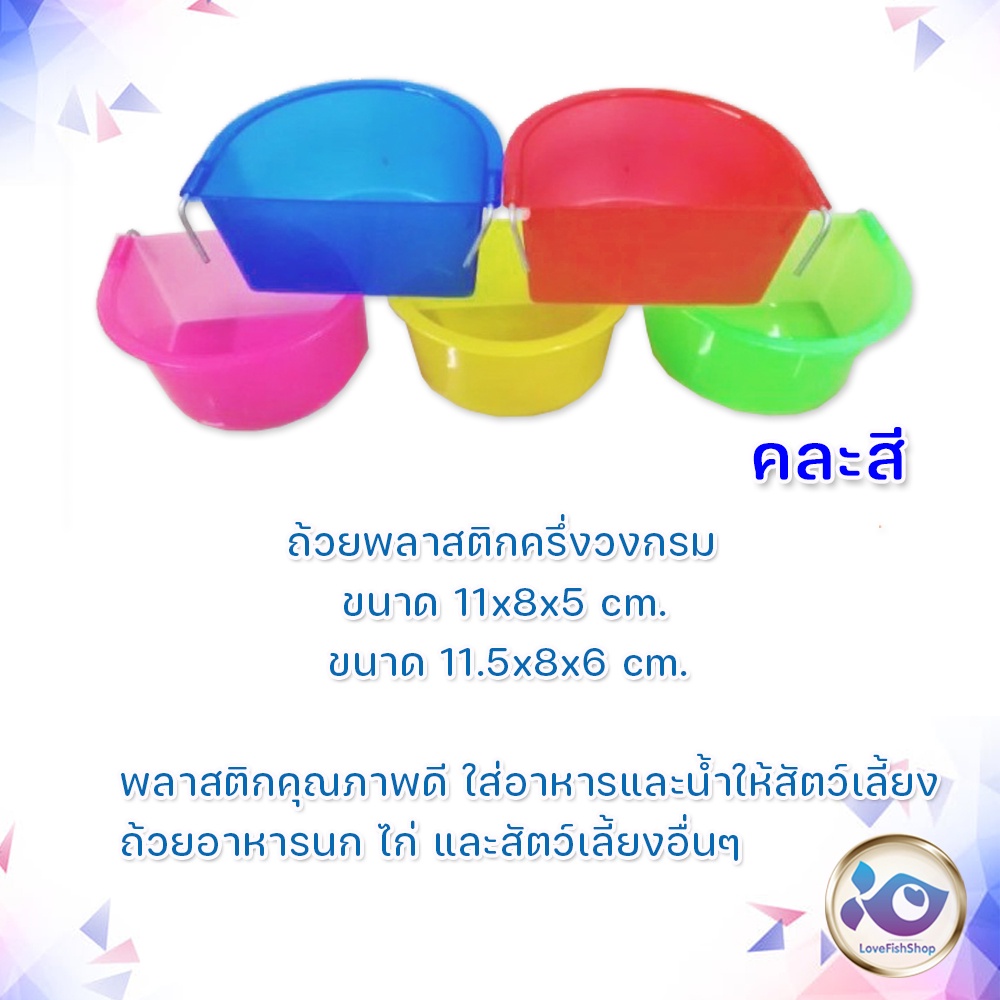 ถ้วยพลาสติกครึ่งวงกรม-ขนาด-11x8x5-cm-11-5x8x6-cm-คละลาย
