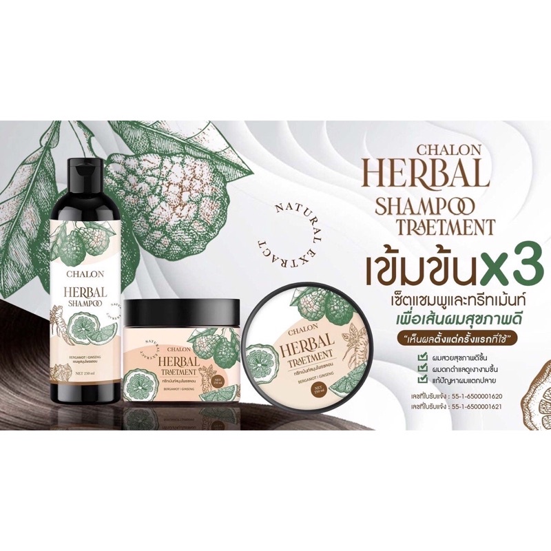 chalon-herbal-แชมพูมะกรูดชลอน