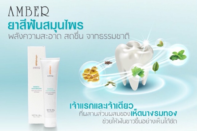ยาสีฟันสมุนไพร แอมเบอร์ 100 กรัม Amber Herbal Toothpaste 100g | Shopee ...