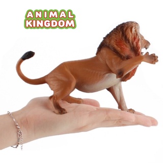 Animal Kingdom - โมเดลสัตว์ พ่อสิงโต ขนาด 18.00 CM (จากหาดใหญ่)