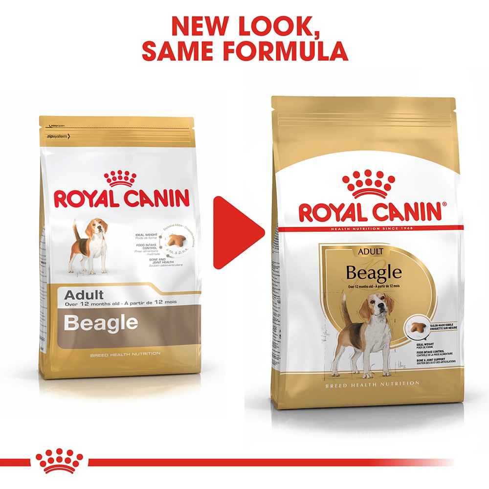 royal-canin-beagle-adult-3-kg-โรยัล-คานิน-สุนัขบีเกิ้ล-อายุ10-เดือนขึ้นไป