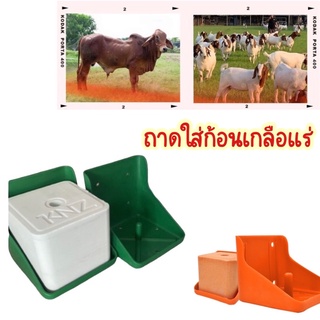 ภาพหน้าปกสินค้าถาดใส่เกลือแร่ 2kg  5kg 10kg มาตรฐาน แข็งแรง ถาดสำใหรับใส่ก้อนเกลือแร่แพะ วัว ที่เกี่ยวข้อง