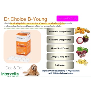 สินค้า B-Young Dr.Choice Intervetta🥇ของแท้🥇(หมดอายุ01/2024) อาหารเสริมรวม หมา แมว สูงวัย แก่ บำรุงประสาท(ชัก) สมอง(อัลไซเมอ)