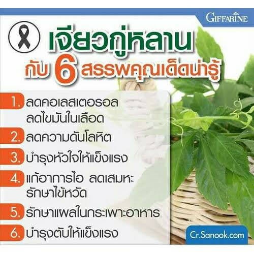 เบาหวาน-ความดัน-ลดไขมันในเลือด-ไขมันเกาะตับ-ขับเสมหะ-เจียวกู่หลาน-250-มก-กิฟฟารีน-เหมาะสำหรับผู้เป็นเบาหวานมาก