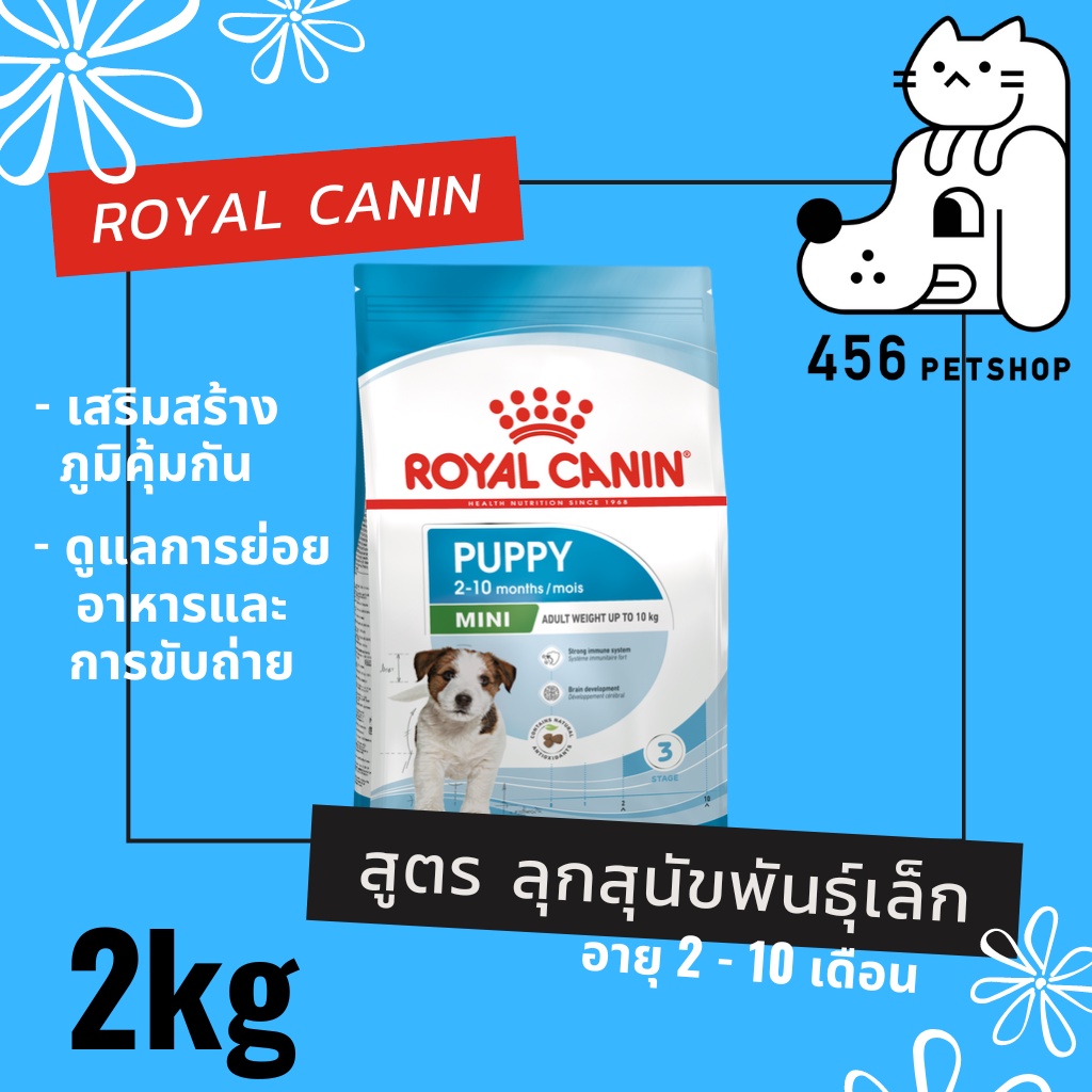 ส่งฟรี-ex02-24-royal-canin-2kg-mini-puppy-อาหารลูกสุนัขพันธ์เล็กทุกสายพันธ์ุ