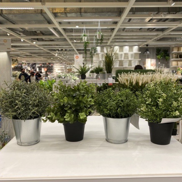 ภาพหน้าปกสินค้าFejka ต้นไม้ประดิษฐ์มีให้เลือก 4 แบบ สูง 22 cm. IKEA จากร้าน ruji78 บน Shopee