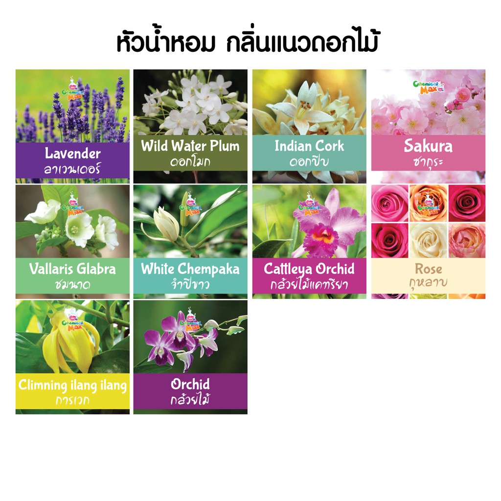 สินค้าทดลอง-ขั้นต่ำ-3-ชิ้น-mini-tester-perfume-เทสเตอร์หัวน้ำหอม-แนวดอกไม้-เทสเตอร์น้ำหอม-มินิเทสเตอร์-ดมทดสอบกลิ่น