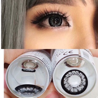 (1) King Gray / Hyper Gray บิ๊กอาย สีเทา เทา ตาโต โทนแบ๊ว ตัดขอบดำ Pretty Doll Contact Lens Bigeyes คอนแทคเลนส์ ค่าสายตา