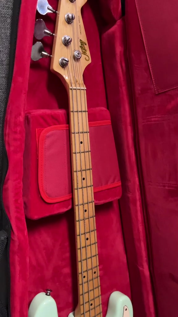 ester-กระเป๋าเบส-bass-soft-case