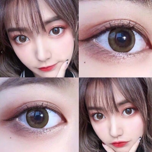 seeshell-gray-seeshall-brown-บิ๊กอาย-ลายฮิตใน-tiktok-ลายตามหา-ลายที่กำลังมาแรงใน-tiktok-ลายฮิตในtiktok