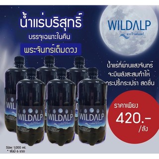 ภาพหน้าปกสินค้าน้ำแร่นำเข้า WILDALP น้ำแร่ธรรมชาติ จากเทือกเขาแอลป์ [6 ขวด/ลัง] นำเข้าออสเตรเลีย ไวด์แอล์ป ที่เกี่ยวข้อง