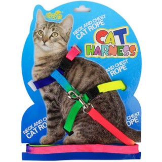 Cat Accessories สายรัดจูงแมว สายจูงรัดอก  ขนาดยาว 120 ซม.มีให้เลือก 5 สี