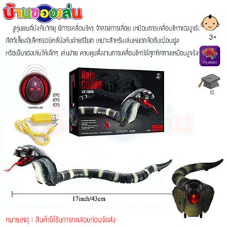 ANDATOY งู งูเห่า บังคับวิทยุ Naja Cobra 8808A-B