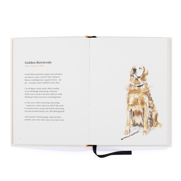 fathom-eng-the-book-of-dog-poems-hardcover-ana-sampson-illustrations-by-sarah-maycock