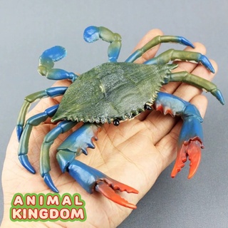 Animal Kingdom - โมเดลสัตว์ ปูม้า ก้ามแดง ขนาด 17.00 CM (จากสงขลา)