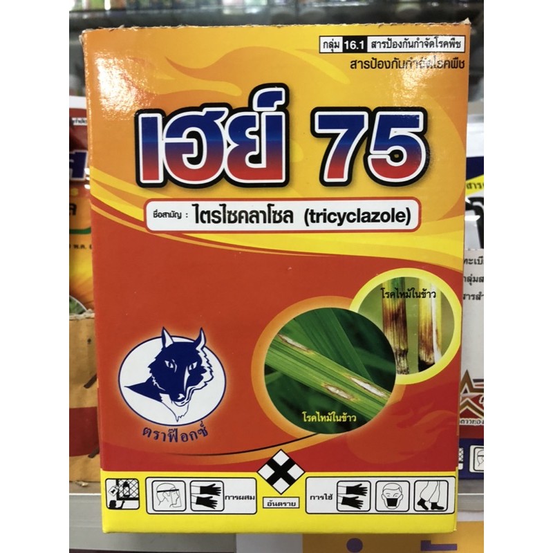 เฮย์75-ไตรไซคลาโซล-75-โรคใบไหม้ในพริก-โรคใบไหม้ในมะเขือเทศ-โรคใบกรอบในมะละกอ