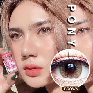 ✨ Pony brown (Wink lens lovely lens) ขนาดโต บิ๊กอาย  ☀️กรองแสง uv ✔️เลนส์แท้จดทะเบียนถูกต้อง (บิ๊กอาย คอนแทคเลนส์Bigeye)