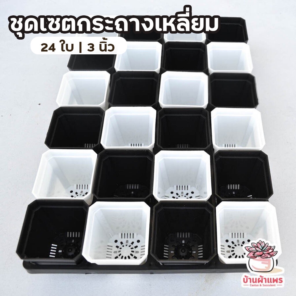 ชุดเซตกระถางเหลี่ยม-3-นิ้ว-7-x-5-x-7-8-ซม-24-ใบ-พร้อมถาดหลุม-24-ช่อง