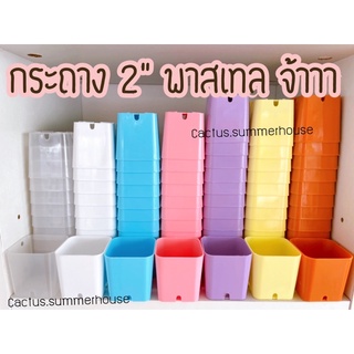 กระถาง2นิ้ว(หลากหลายสี)✅ถูกที่สุด✅