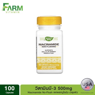 Natures Way, Niacinamide, 500 mg, 100 Capsules