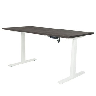 Desk STANDING DESK ERGOTREND SIT 2 STAND GEN2 120CM TWILIGHT ELM/WHITE Office furniture Home &amp; Furniture โต๊ะทำงาน โต๊ะท