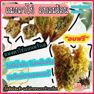 ราคาและรีวิวแมงดาไข่ อบลมร้อน มีไข่ทุกตัว ขายเป็นตัว