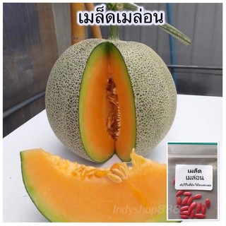 เมล็ดพันธุ์ เมล่อน เมล่อนญี่ปุ่นโมมิจิ แตงเมล่อน เนื้อส้ม 12 เมล็ด [10 แถม 1 คละได้]