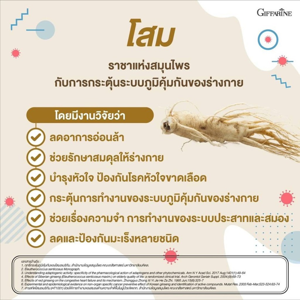 มีโปร-กิฟฟารีน-โสมเกาหลี-โสมเกาหลีแท้-โสมเกาหลี-สกัด-giffarine-ginseng