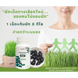 ภาพขนาดย่อของภาพหน้าปกสินค้าผักเม็ดเสริมภูมิ Wheatgrass & Alfalfa Extract Plus Q10 จากร้าน awaken_fun บน Shopee ภาพที่ 3