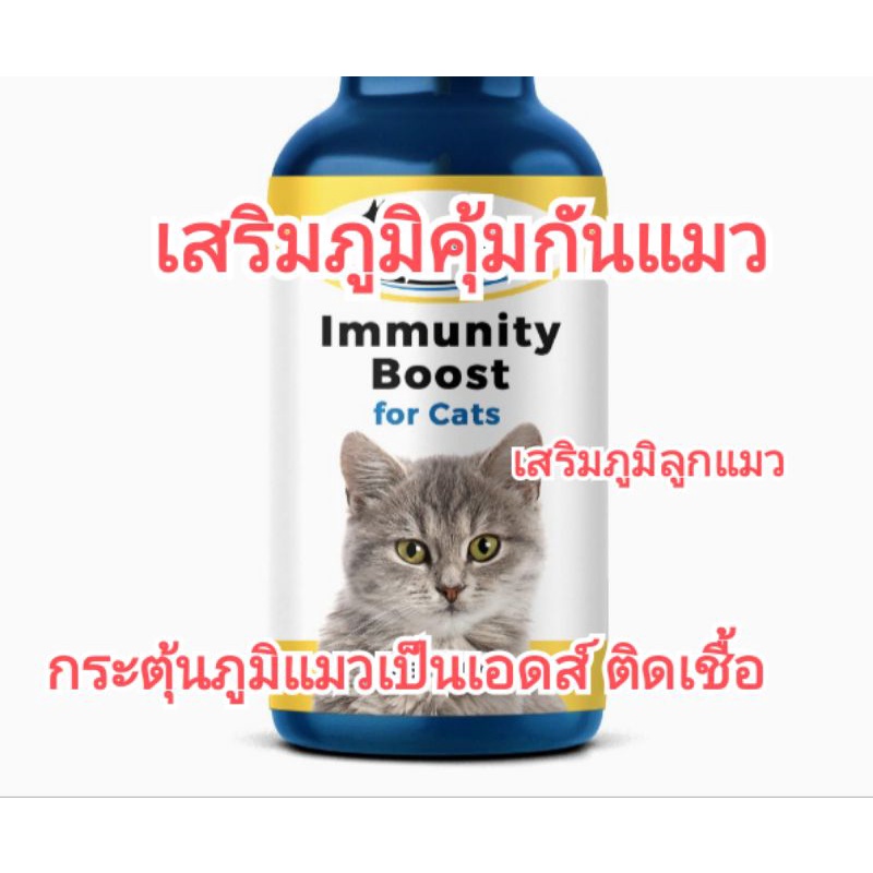 แบ่งขาย-แมว-immunityboost-อาหารเสริมป้องกันหวัดแมว-เสริมภูมิคุ้มกันแมว-หวัดแมว-แมวเป็นหวัด-แมวเป็นfiv-แมวเป็นลิวคีเมีย
