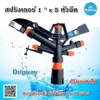 Dripway สปริงเกอร์หมุนรอบตัว ขนาด 1 นิ้ว x 5 หัวฉีด